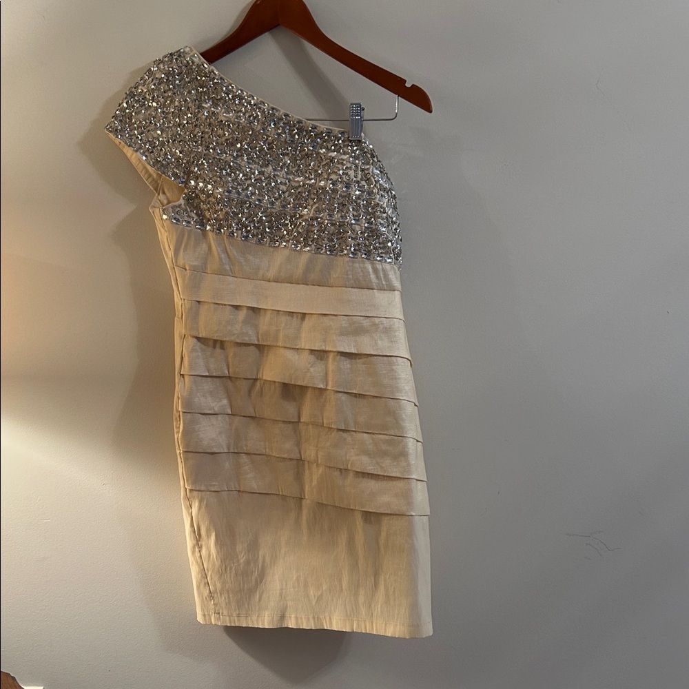 Daisy Silver and Cream One-Shoulder Dress